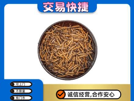 宜昌高价回收散虫草